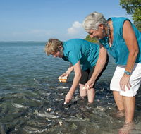 Aquascene Fish Feeding Sanctuary - Darwin Holiday