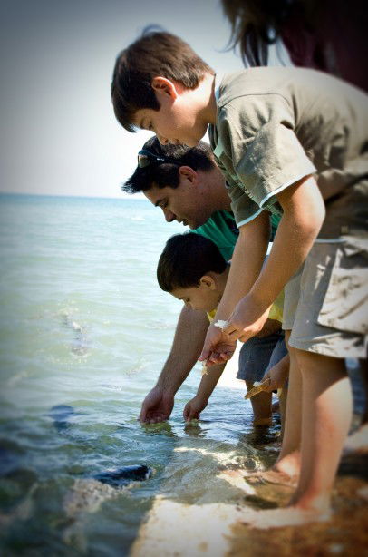 Aquascene Fish Feeding Sanctuary - Darwin Holiday 3