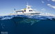Three Islands Whale Shark Dive - thumb 4