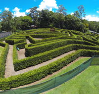 Bellingham Maze - Darwin Holiday