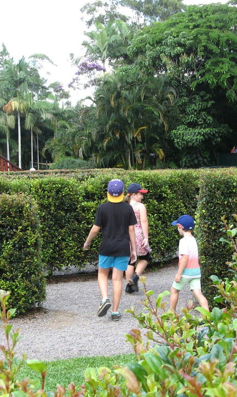 Bellingham Maze - Darwin Holiday 2