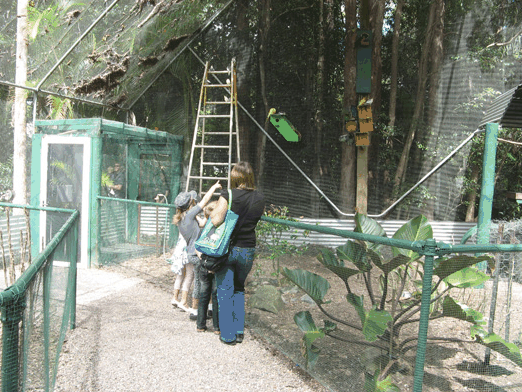 Bellingham Maze - Darwin Holiday 7
