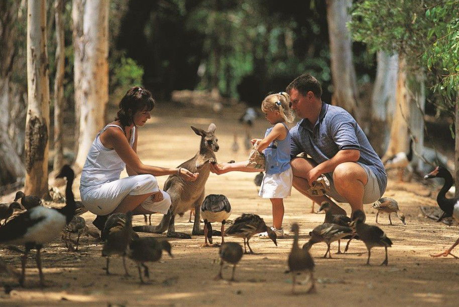 Rowes Bay QLD Darwin Holiday