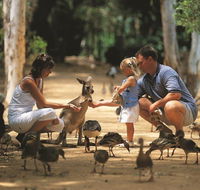 Billabong Sanctuary - Darwin Holiday