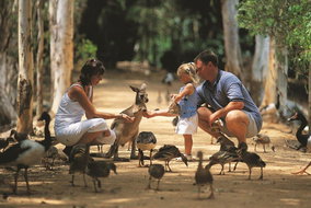 Book Townsville QLD Attractions Darwin Holiday Darwin Holiday