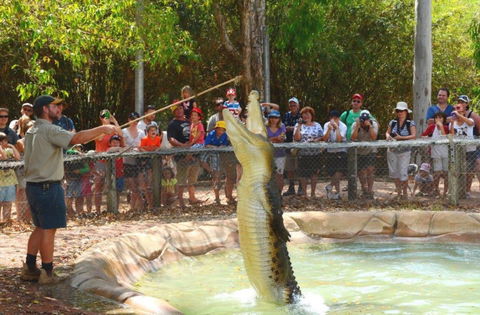 Billabong Sanctuary - Darwin Holiday 2