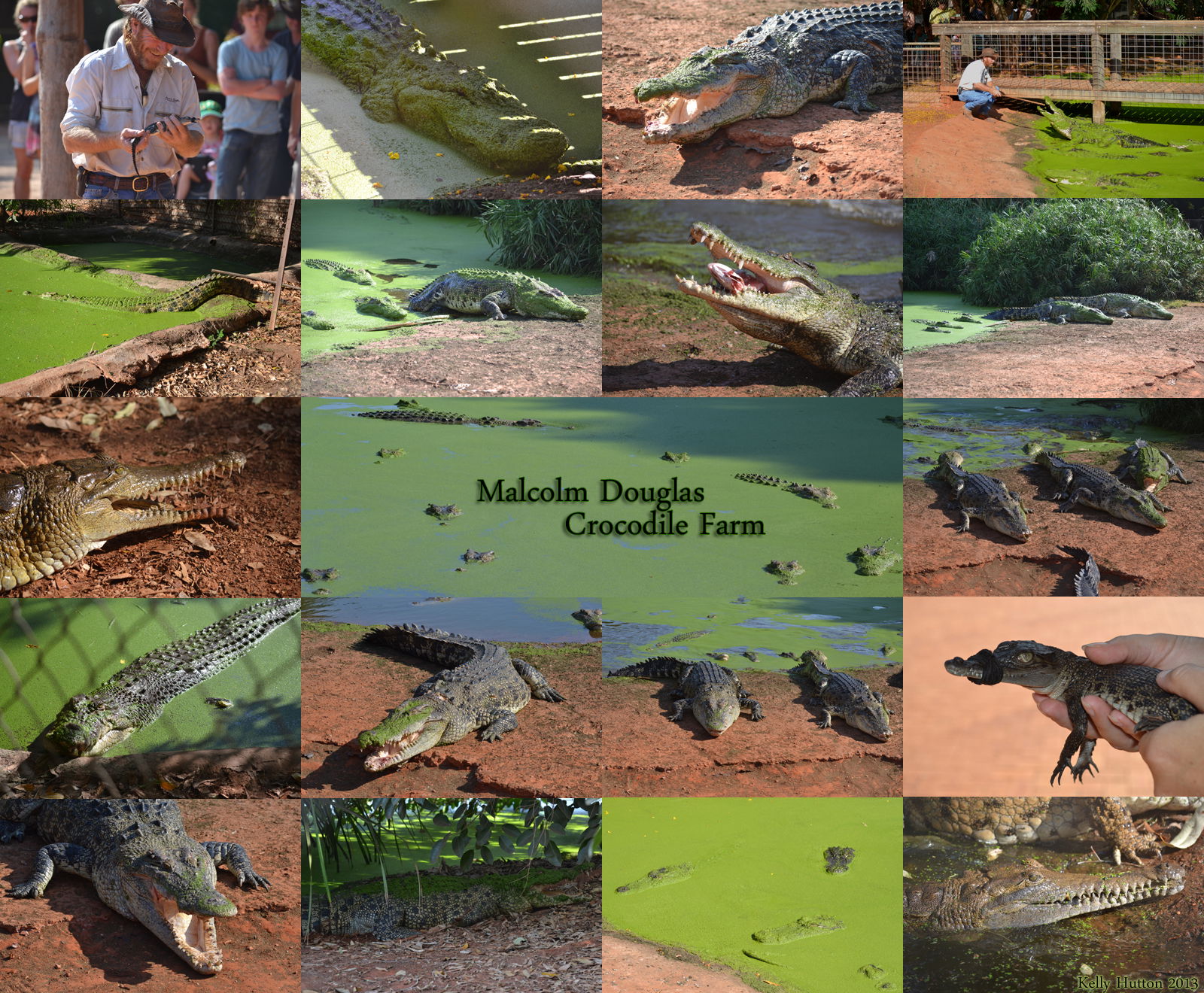 Roebuck WA Darwin Holiday