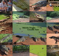 The Malcolm Douglas Crocodile Park - Darwin Holiday