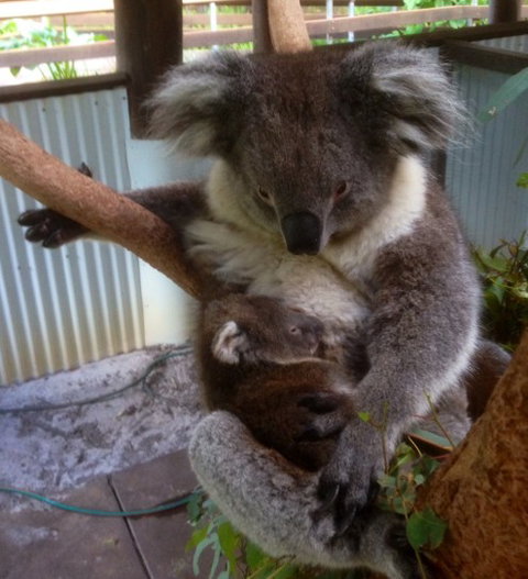 Outback Splash - Darwin Holiday 3