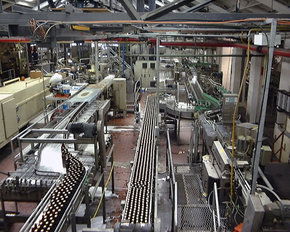 Cascade Brewery Tour - Darwin Holiday 2