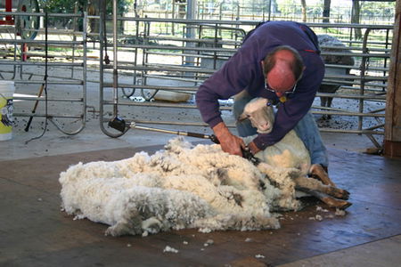 Caversham Wildlife Park - Darwin Holiday 3