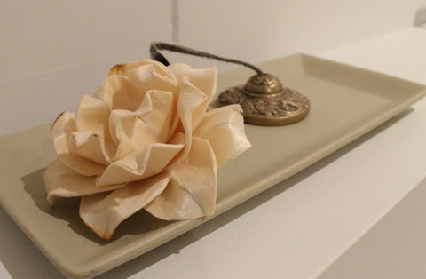 The Boardwalk Spa - Darwin Holiday 5