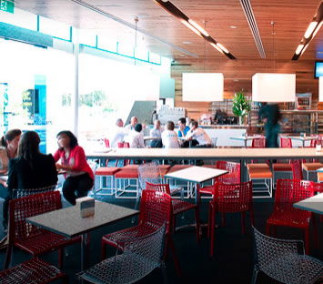 The Icehouse - Darwin Holiday 3