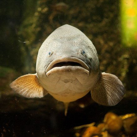 Melbourne Aquarium - Darwin Holiday 5