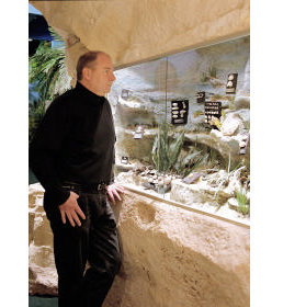 The National Opal Collection - Darwin Holiday 5