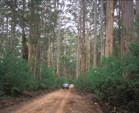 Boranup Drive - Darwin Holiday 0
