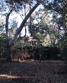 Ghost House Walk Trail, Yanchep National Park - Darwin Holiday 0