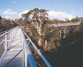Walpole-Nornalup National Park - Darwin Holiday 0