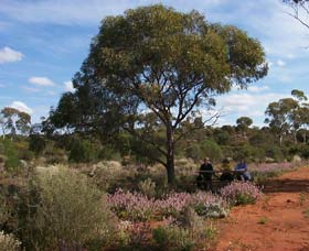 Karlkurla Bushland Park - Darwin Holiday 0