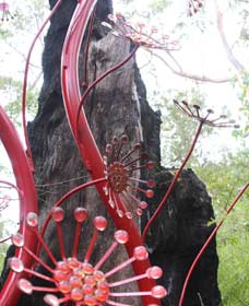Northcliffe WA Darwin Holiday