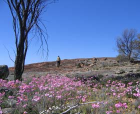 Kwelkan WA Darwin Holiday