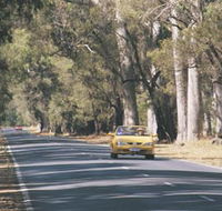 Ludlow Tuart Forest - Darwin Holiday