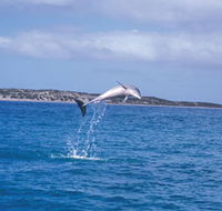 Steep Point - Darwin Holiday