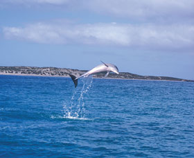Steep Point - Darwin Holiday 0