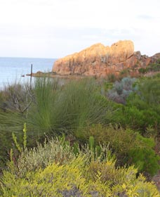 Meelup Trail - Darwin Holiday 0