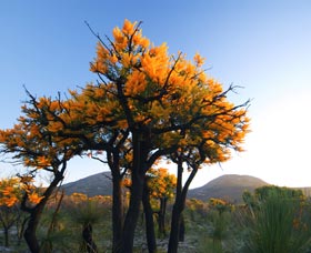 Cape Le Grand National Park - Darwin Holiday 0