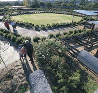 Kojonup Rose Maze - Darwin Holiday