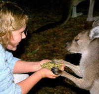 Discovery Bay's Walk on the Wild Side - Darwin Holiday
