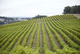 Willow Bridge Estate - Darwin Holiday 0