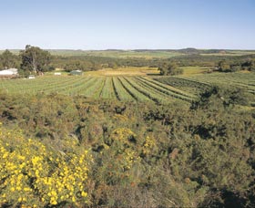 Chapman Valley Scenic Drive - Darwin Holiday 0