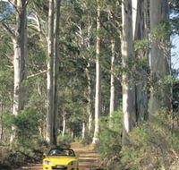 Mount Shadforth Scenic Drive - Darwin Holiday
