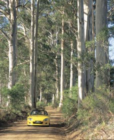 Mount Shadforth Scenic Drive - Darwin Holiday 0