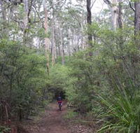 Margaret River Rails Trail - Darwin Holiday