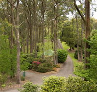 Mount Lofty Botanic Garden - Darwin Holiday