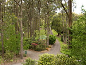 Mount Lofty Botanic Garden - Darwin Holiday 0