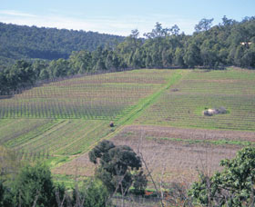 Darling Range - Darwin Holiday 0