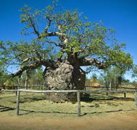 Pigeon Heritage Trail - Darwin Holiday