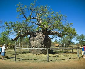 Pigeon Heritage Trail - Darwin Holiday 0