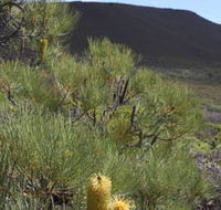 Lesueur Walk Trail Mount Lesueur - Darwin Holiday