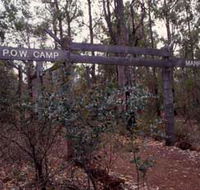 Marrinup Trail Dwellingup - Darwin Holiday