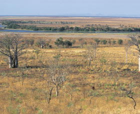 Telegraph Hill - Darwin Holiday 0