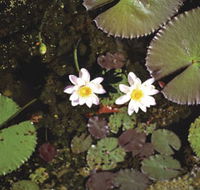 Parry Lagoons Nature Reserve - Darwin Holiday