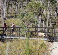 Forest Path Crooked Brook - Darwin Holiday