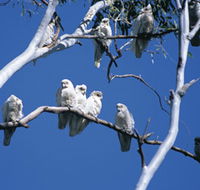 Carawine Gorge - Darwin Holiday