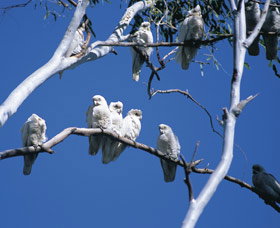 Carawine Gorge - Darwin Holiday 0