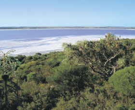 Pink Lake - Darwin Holiday 0